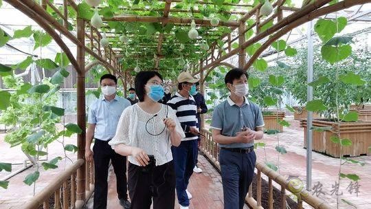 四川瀘州現(xiàn)代農(nóng)業(yè)：農(nóng)旅項目