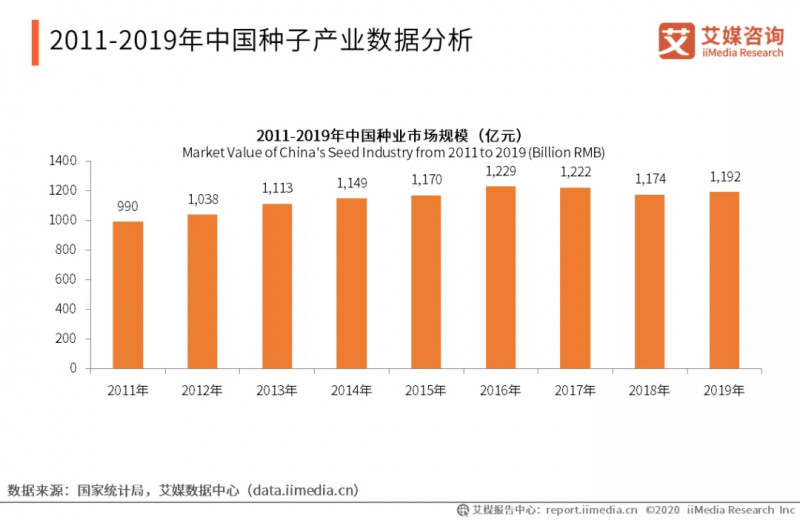 中國每年進口7萬噸“洋種子”:14億人的飯碗,能端穩(wěn)嗎?