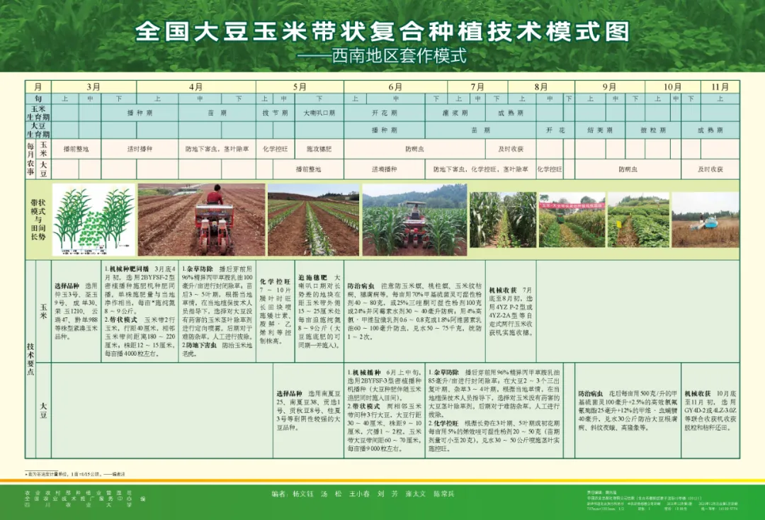 玉米大豆長(zhǎng)期發(fā)展趨勢(shì)！大豆自產(chǎn)量可增三倍，利潤(rùn)翻倍！