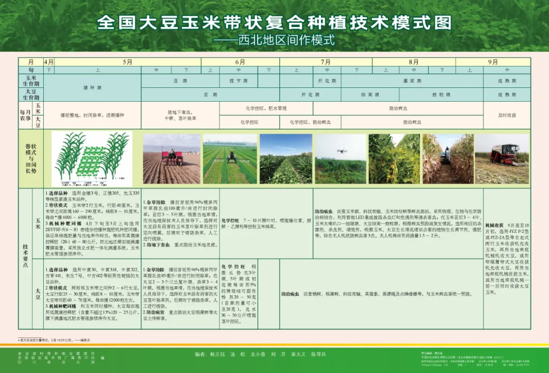 玉米大豆長(zhǎng)期發(fā)展趨勢(shì)！大豆自產(chǎn)量可增三倍，利潤(rùn)翻倍！