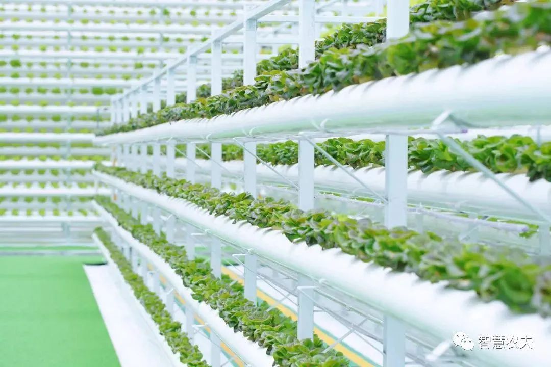 農業部出手，智慧農業將迎來七個方面全面突破！