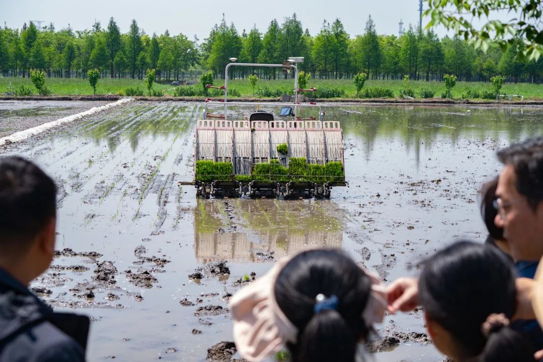 無人農(nóng)機(jī)加入滬郊水稻插秧大軍