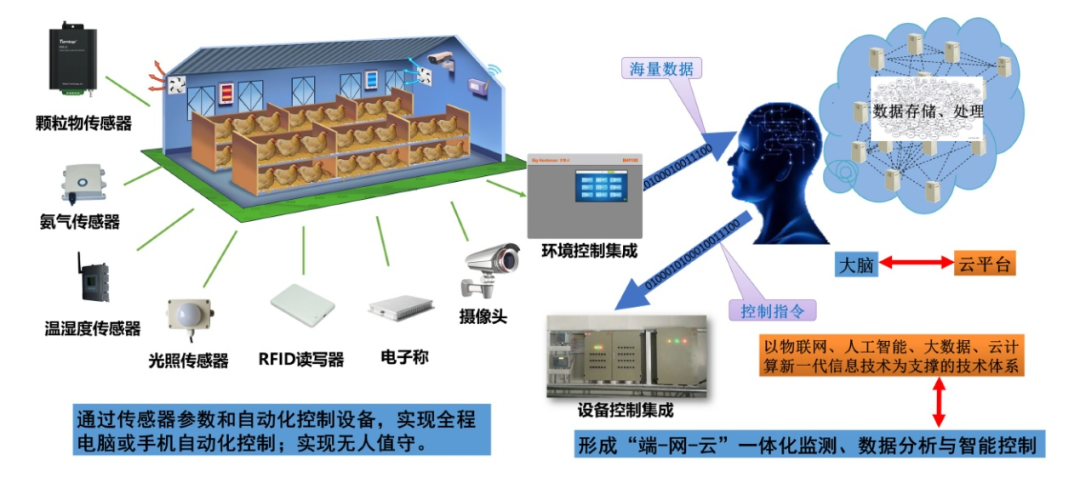 農(nóng)業(yè)農(nóng)村部發(fā)布《肉雞立體養(yǎng)殖技術(shù)指導(dǎo)意見(jiàn)》