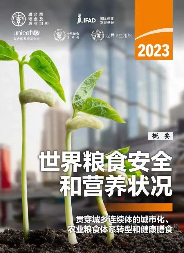 加強韌性建設(shè) 應(yīng)對糧食危機